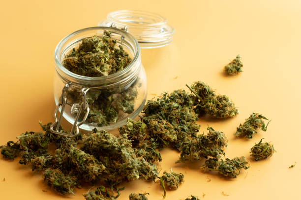 How to Save Big on Top-Quality Cannabis at Our Denver Dispensary!