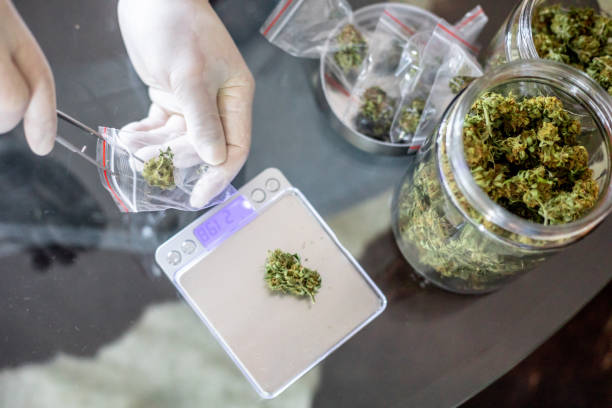 What is the average savings on bulk purchases at Denver marijuana shops?