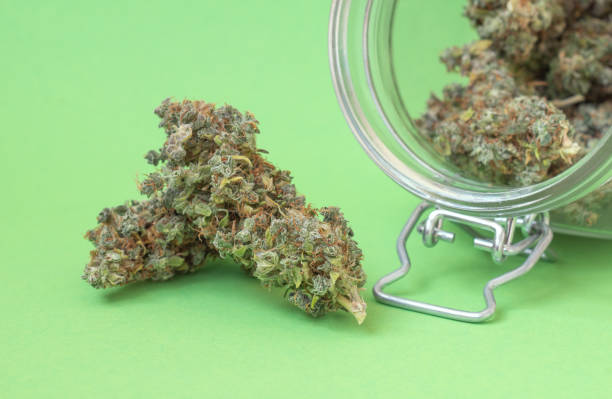 Top discounts and promotions offered at Denver dispensaries 