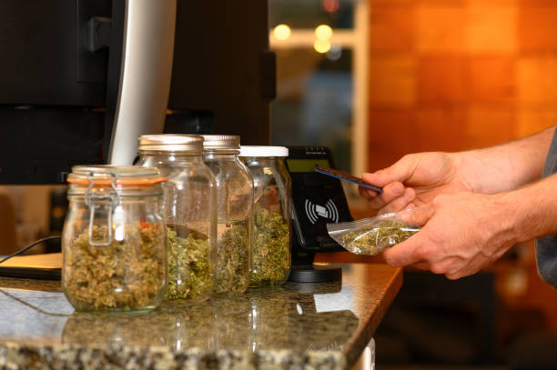 Don't Miss Out on the Hottest Deals in Denver Visit Our Dispensary Today!